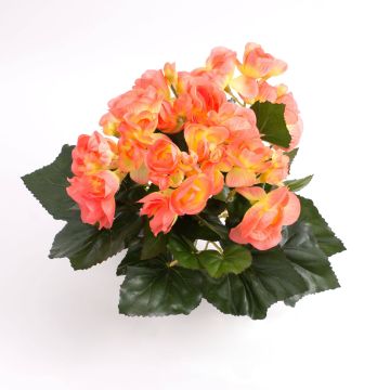 Fausse fleur Bégonia IVANA à planter, saumon, 20cm, Ø3-5cm