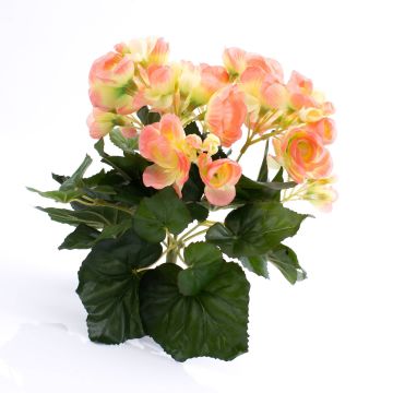 Fausse fleur Bégonia IVANA à planter, pêche, 20cm, Ø3-5cm
