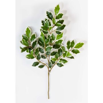 Branche artificielle de ficus Benjamini AJITH, vert-blanc, 45cm Branche artificielle de ficus Benjamini AJITH, vert-blanc, 45cm