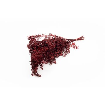 Branches de ruscus séchées AGNIATA, rouge bourgogne, 70-75cm, Ø17cm Branches de ruscus séchées AGNIATA, rouge bourgogne, 70-75cm, Ø17cm