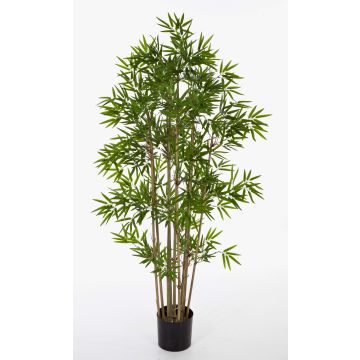 Bambou artificiel YAN, tiges de bambou naturelles, 200 cm