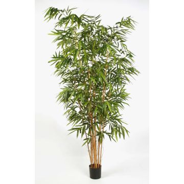 Bambou artificiel FUDO, tiges naturelles, 240 cm Bambou artificiel FUDO, tiges naturelles, 240 cm