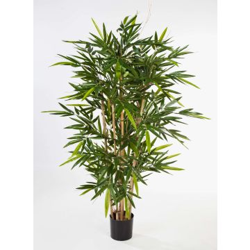 Bambou artificiel TARIK, tiges naturelles, 150 cm Bambou artificiel TARIK, tiges naturelles, 150 cm