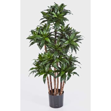 Dracaena artificiel DOMINGO, troncs naturels, vert, 120cm Dracaena artificiel DOMINGO, troncs naturels, vert, 120cm