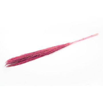 Botte sèche de roseau DONJETA, fuchsia, 115-120cm, Ø15cm Botte sèche de roseau DONJETA, fuchsia, 115-120cm, Ø15cm