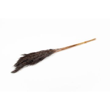 Botte sèche de roseau DONJETA, brun-argenté, 70-80cm, Ø15cm Botte sèche de roseau DONJETA, brun-argenté, 70-80cm, Ø15cm