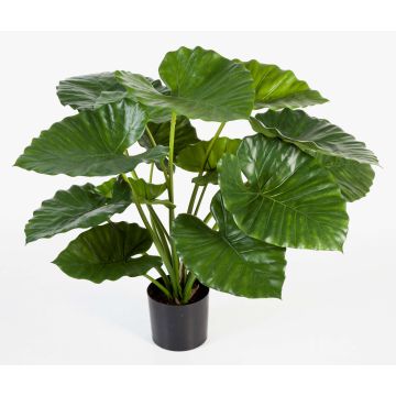 Plante artificielle Alocasia Calidora SALONI, vert, 75cm Plante artificielle Alocasia Calidora SALONI, vert, 75cm