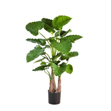 Plante décorative Alocasia Calidora SURI, vert, 120cm Plante décorative Alocasia Calidora SURI, vert, 120cm