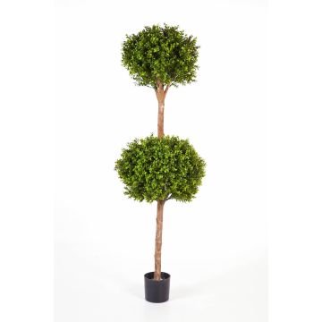 Plante artificielle en buis, boule double TOM, tronc naturel, 2 pièces, 160cm, Ø50cm Plante artificielle en buis, boule double TOM, tronc naturel, 2 pièces, 160cm, Ø50cm