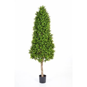 Buis artificiel en forme de cône TOM, tronc naturel, 170cm Buis artificiel en forme de cône TOM, tronc naturel, 170cm