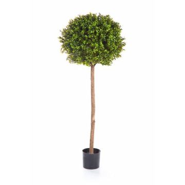 Buis artificiel TOM, tronc naturel, 140cm, Ø50cm Buis artificiel TOM, tronc naturel, 140cm, Ø50cm