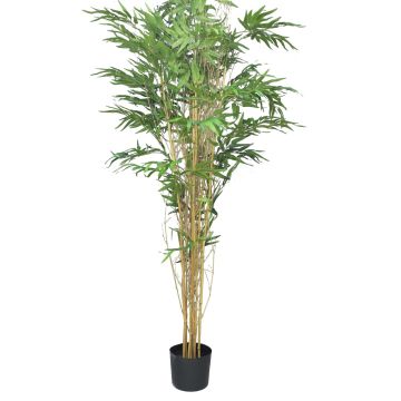 Arbre artificiel en bambou WANNING, tiges naturelles, 180 cm Arbre artificiel en bambou WANNING, tiges naturelles, 180 cm