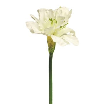 Fleur synthétique Amaryllis HEJIA, crème, 60cm Fleur synthétique Amaryllis HEJIA, crème, 60cm