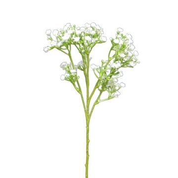 Gypsophile artificielle CECILIA, blanche, 45 cm, Ø 1 cm Gypsophile artificielle CECILIA, blanche, 45 cm, Ø 1 cm