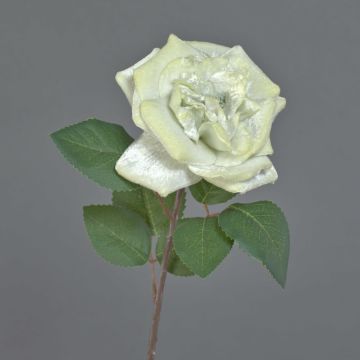 Samt Rose YUFAN, creme, 45cm, Ø13cm Samt Rose YUFAN, creme, 45cm, Ø13cm