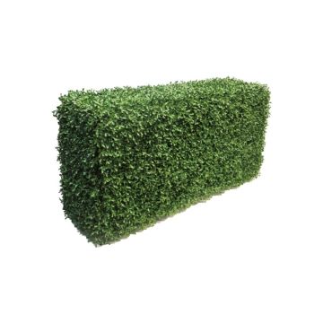 Haie de buis artificielle FRITZ, cadre métallique, crossdoor, 50x30x100cm Haie de buis artificielle FRITZ, cadre métallique, crossdoor, 50x30x100cm