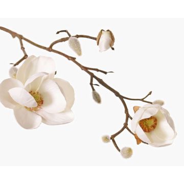 Magnolia en tissu KOSTAS, blanc, 55 cm, Ø 6-8 cm Magnolia en tissu KOSTAS, blanc, 55 cm, Ø 6-8 cm