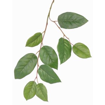 Branche de pommier artificielle KONSTANTIN, verte, 75cm