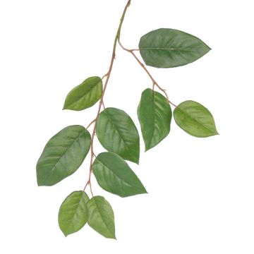 Branche de pommier artificielle KONSTANTIN, verte, 75cm