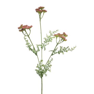 Branche de fleur artificielle d'achillée millefeuille YISUAN, rose vif, 50 cm, Ø 6 cm Branche de fleur artificielle d'achillée millefeuille YISUAN, rose vif, 50 cm, Ø 6 cm