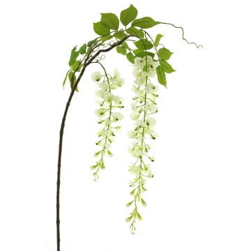 Branche de glycine artificielle LIANMU, crème, 140cm Branche de glycine artificielle LIANMU, crème, 140cm