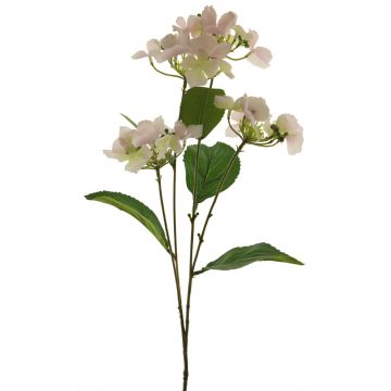 Fleur artificielle d'hortensia PINNIAN, rose pâle-crème, 70 cm, Ø 9-10 cm