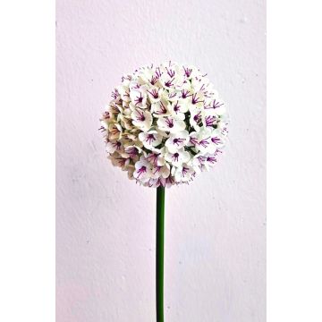 Allium artificiel LOKJAN, blanc-violet, 70 cm Allium artificiel LOKJAN, blanc-violet, 70 cm