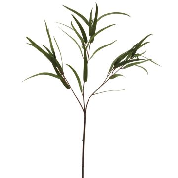 Branche décorative d'eucalyptus ZIYUMU avec graines, verte, 80 cm Branche décorative d'eucalyptus ZIYUMU avec graines, verte, 80 cm
