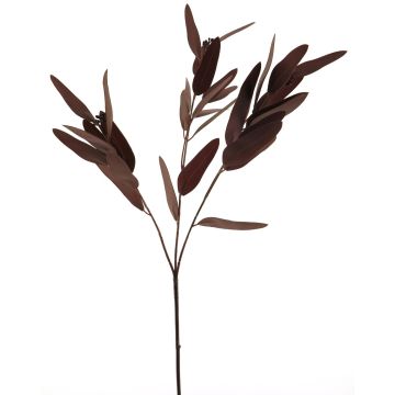 Branche décorative d'eucalyptus YUZIMO avec graines, rouge bordeaux, 80 cm