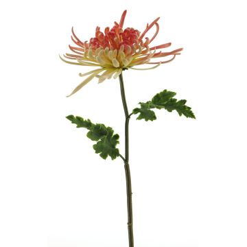 Fleur décorative chrysanthème YASULI, fuchsia-jaune, 70cm, Ø18cm
