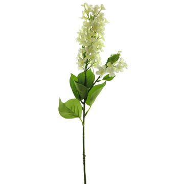 Fleur synthétique lilas NAJUAN, crème, 80cm, Ø6-8cm Fleur synthétique lilas NAJUAN, crème, 80cm, Ø6-8cm