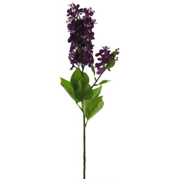Fleur artificielle lilas NAJUAN, lilas foncé, 80cm, Ø6-8cm Fleur artificielle lilas NAJUAN, lilas foncé, 80cm, Ø6-8cm