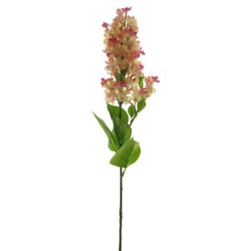 Fleur synthétique lilas NAJUAN, fuchsia-crème, 80cm, Ø6-8cm Fleur synthétique lilas NAJUAN, fuchsia-crème, 80cm, Ø6-8cm