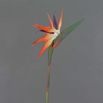 Fausse fleur de strelitzia ZAMIRA, orange-violet, 95cm, 16x30cm