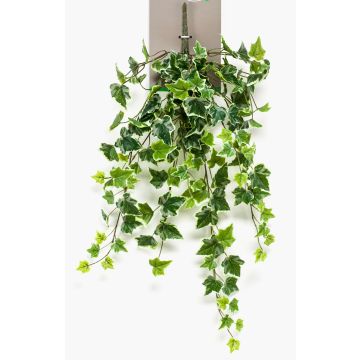 Vrille de lierre artificiel MAJA à planter, vert-blanc, 70cm Vrille de lierre artificiel MAJA à planter, vert-blanc, 70cm