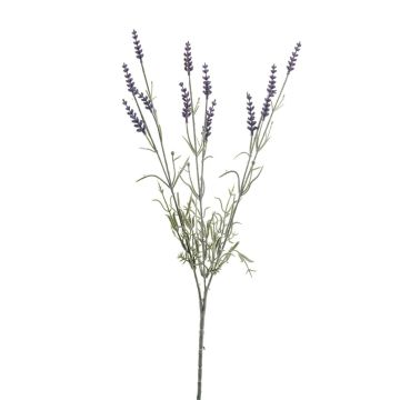 Branche artificielle de lavande JELLE, violette, 70 cm Branche artificielle de lavande JELLE, violette, 70 cm