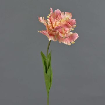 Fleur décorative Tulipe perroquet ALISCHA, pêche, 70 cm