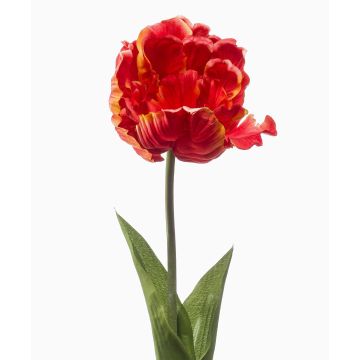 Tulipe perroquet décorative LIOMARA, orange, 65 cm