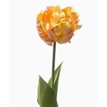 Tulipe perroquet décorative LIOMARA, jaune-pêche, 65 cm Tulipe perroquet décorative LIOMARA, jaune-pêche, 65 cm
