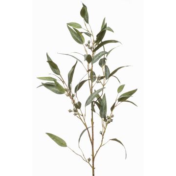 Branche d'eucalyptus artificielle JURKA avec des fruits, vert-gris, 115cm