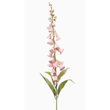 Fleur artificielle : campanule NEVLAR, rose clair, 95 cm, Ø 10 cm Fleur artificielle : campanule NEVLAR, rose clair, 95 cm, Ø 10 cm