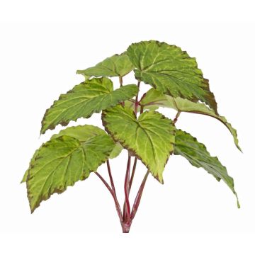 Bégonia à feuilles synthétique KATRICE sur tige, difficilement inflammable, vert, 25cm