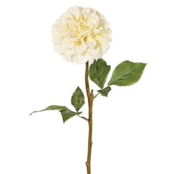 Fleur synthétique dahlia BREDANA, crème, 60cm, Ø11cm Fleur synthétique dahlia BREDANA, crème, 60cm, Ø11cm