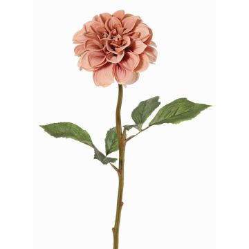 Fleur synthétique dahlia BREDANA, vieux rose, 60cm, Ø11cm Fleur synthétique dahlia BREDANA, vieux rose, 60cm, Ø11cm