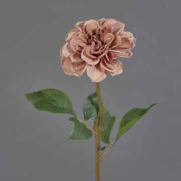 Kunstblume Dahlie BREDANA, altrosa, 60cm, Ø11cm Kunstblume Dahlie BREDANA, altrosa, 60cm, Ø11cm