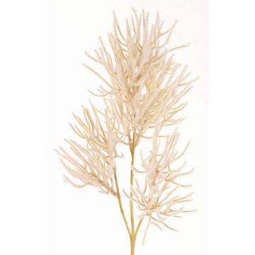 Rameau décoratif Corail BILBAS, crème, 70cm Rameau décoratif Corail BILBAS, crème, 70cm