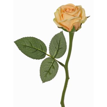 Fleur synthétique rose GABI, pêche-crème, 30cm, Ø6cm