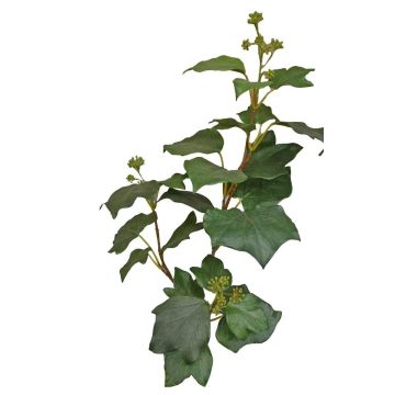 Branche de lierre artificiel TOYAH avec fruits, verte, 65 cm Branche de lierre artificiel TOYAH avec fruits, verte, 65 cm