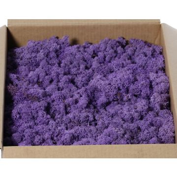 Mousse d'Islande naturelle lilas SVEINBJÖRN, 2,7kg Mousse d'Islande naturelle lilas SVEINBJÖRN, 2,7kg
