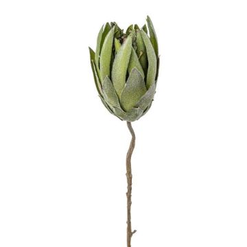 Fleur synthétique coussin à épingles Protea LINDAR, verte, 70cm Fleur synthétique coussin à épingles Protea LINDAR, verte, 70cm